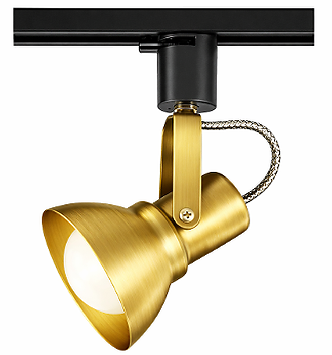 DNR-TRUMPET
