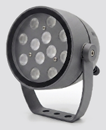 DNR-SPOT-12