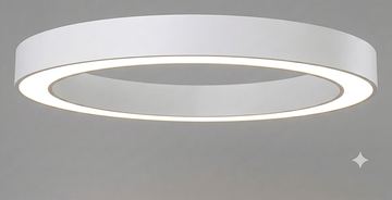 DNR-RING1500-80